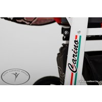 Универсальная коляска Dada Paradiso Group Carino (2 в 1)