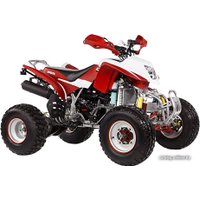 Квадроцикл IRBIS ATV 250S