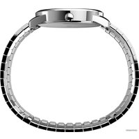 Наручные часы Timex TW2V05500