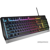 Клавиатура Genesis Rhod 300 RGB