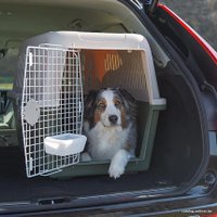 Переноска Ferplast Atlas Classic 60 73059021 (зеленый)