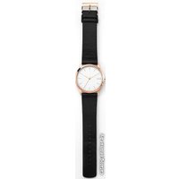 Наручные часы Skagen SKW1102