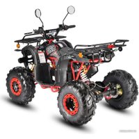 Квадроцикл White Siberia Sneg Pro 3000W