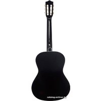 Акустическая гитара Terris TC-3801A BK