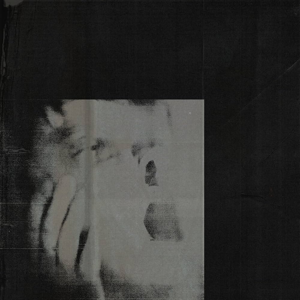 Виниловая пластинка DITZ - Never Exhale