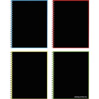 Общая тетрадь Erich Krause Accent 120 л клетка 53391