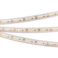 Светодиодная лента Arlight RTW-PS-A120-10mm 12V Warm3000 022320(2)