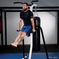 Турник с брусьями Century 1087016-110