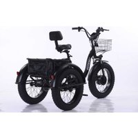 Электровелосипед Shtenli Trike PRO li-on 48/10.4