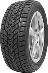 Winter WD1 165/70R14 81T