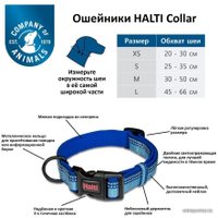 Ошейник Halti Collar L (голубой)