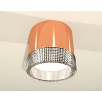 Припотолочная люстра Ambrella light Techno spot XS8122020 PPG/CL