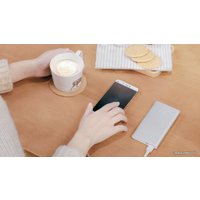 Портативное зарядное устройство Xiaomi Mi Power Bank 2 PLM02ZM 10000mAh (серебристый)