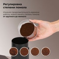 Электрическая кофемолка Evolution CraftCoffe Classic One (CCC-1)