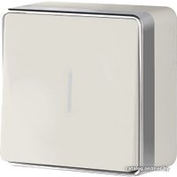 Выключатель Werkel W5010103