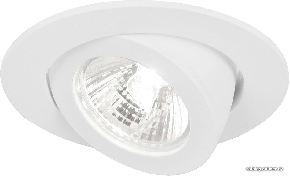 Точечный светильник Arte Lamp Accento A4009PL-1WH