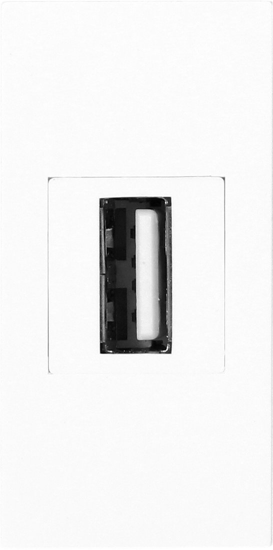 

Розетка USB Orno OR-GM-9010/W/USBDAT1