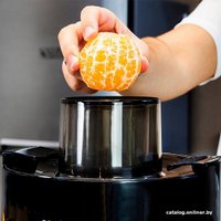 Соковыжималка Cecotec Extreme Titanium 19000