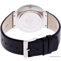 Наручные часы Skagen SKW6024