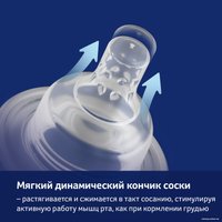 Бутылочка для кормления Lovi Trends 21/563_bei (250 мл)