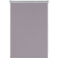 Рулонные шторы Franc Gardiner Blackout Silver 55x250 9403219745 (серый)