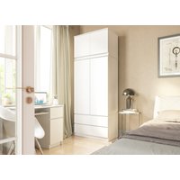 Шкаф распашной ДСВ Мори МШ 900.1/2