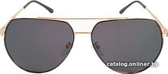 Солнцезащитные очки JBL Polarized 906 (золото/черный)