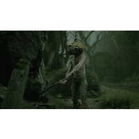  Mortal Shell для PlayStation 4