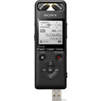 Диктофон Sony PCM-A10