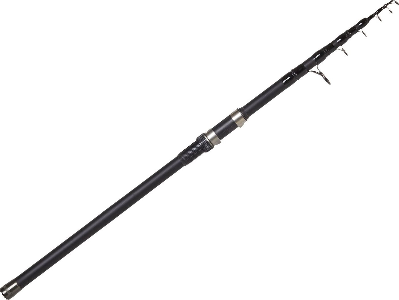

Удилище Salmo Blaster Tele Carp 2.75lb/3.30