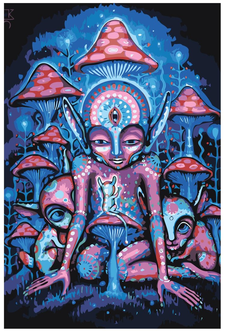 

Картина по номерам SLAVINA Психоделика WA18