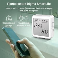 Термогигрометр Digma DiSense T5