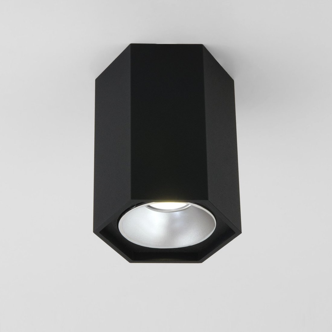 

Спот Elektrostandard 25036/LED (серебро/черный)