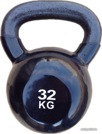 Protrain TA-2401-32 32 кг