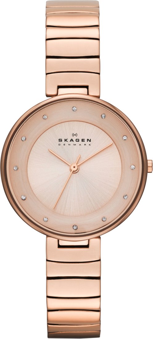 

Наручные часы Skagen SKW2227