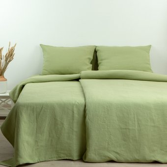 Семейный комплект постельного белья Беларускі лён Дуэт 23С205-ШР/уп/ст. (627 зеленый)