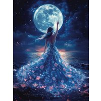 Алмазная мозаика  Феникс+ Танец при луне 71441