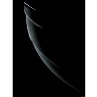 Универсальная коляска Anex M/type PRO (2 в 1, casual green EP-02)