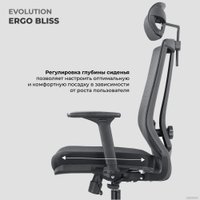 Офисное кресло Evolution ERGO BLISS Black (черный)