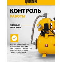 Насосная станция Denzel PSD800C в Пинске