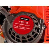 Мотокультиватор бензиновый Gigant GTSL-01