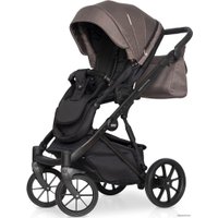 Универсальная коляска Riko Montana (3 в 1, 01)