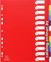 Разделитель документов Exacompta Maxi 4812E (ассорти)