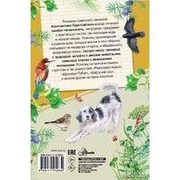 Книга издательства АСТ. Рассказы о родной природе (Паустовский Константин Георгиевич)