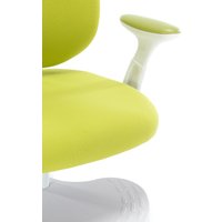 Детское ортопедическое кресло Everprof Kids 104 (зеленый)
