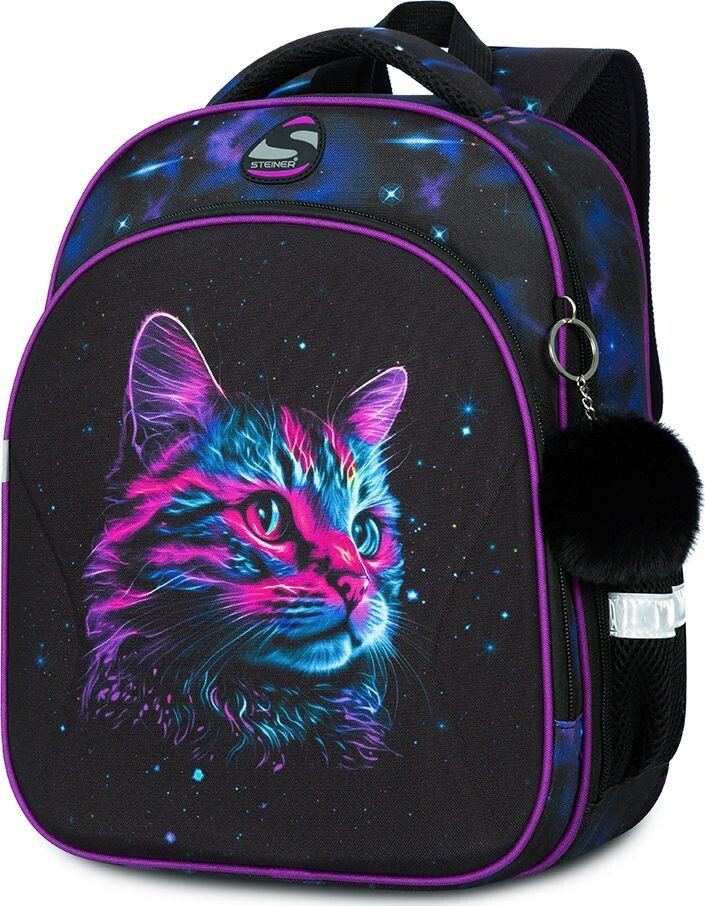 

Школьный рюкзак Steiner SK1-31