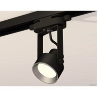 Трековый светильник Ambrella light Track System XT6602002 PBK/PSL