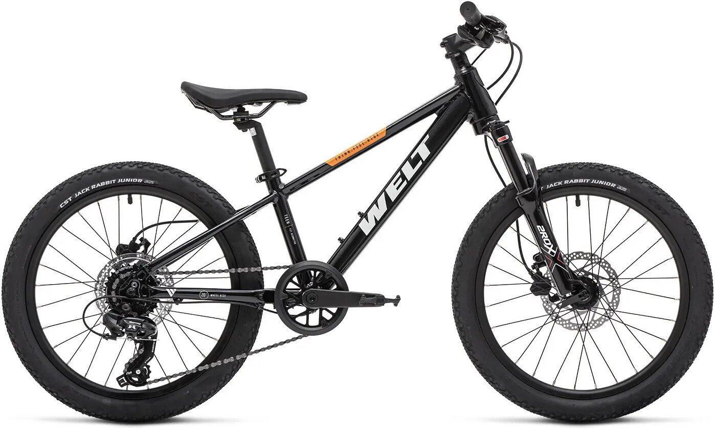 Детский велосипед Welt Brave 1.0 20 HD 2026 (fast black)