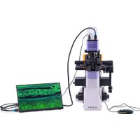 Микроскоп Magus Lum VD500L LCD 83023