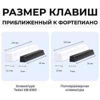 Синтезатор Tesler KB-6160 (черный)